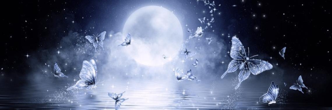 Dancing in the moonlight | Annelies