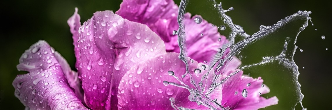 De helende kracht van regen | Annelies