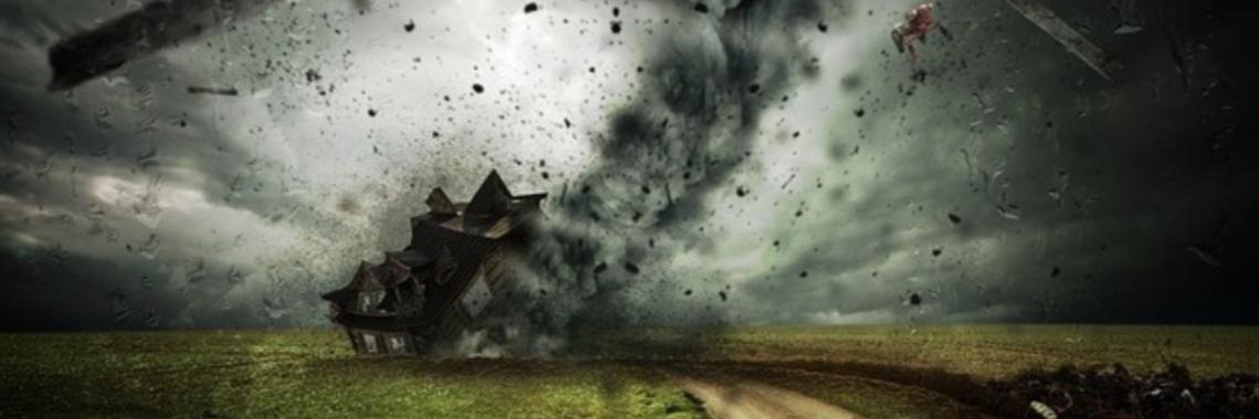 Destructie | Annelies