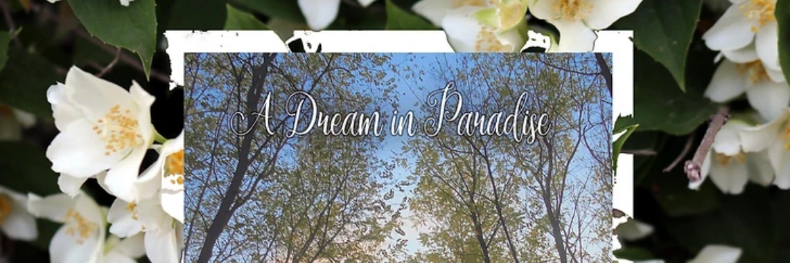 Doe mee aan de tombola en win een CD! | Annelies