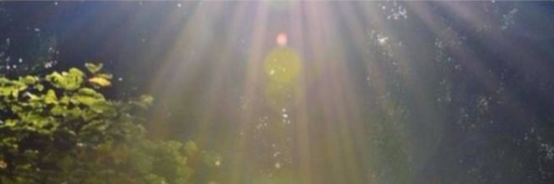 Find the Light in Everything | Annelies