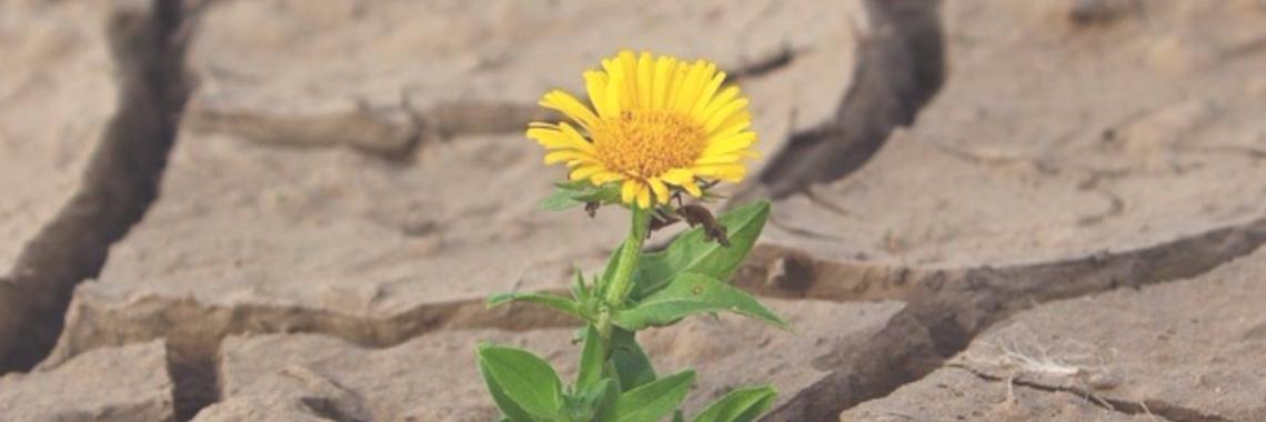 Geloof in mij | Annelies