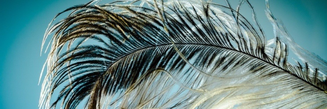 Harmonie en Geluk | Annelies