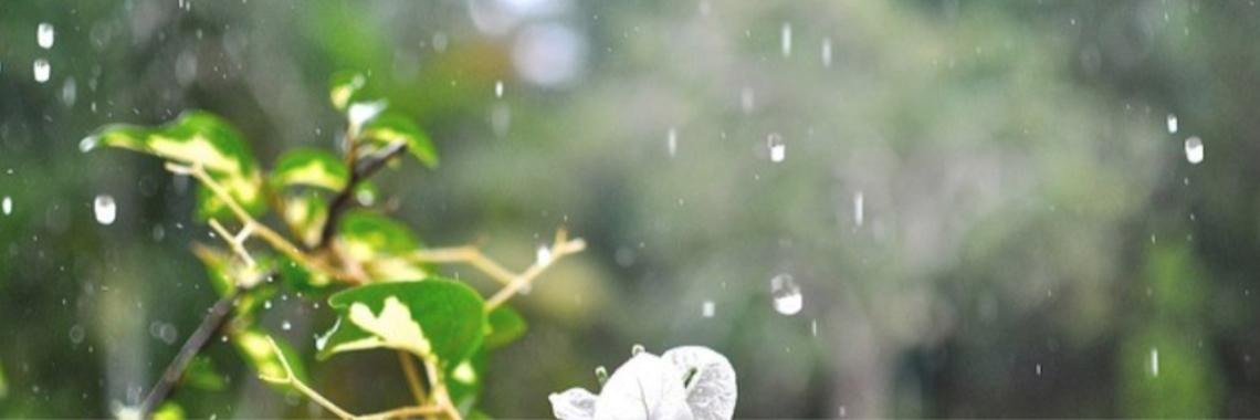 Innerlijke kracht | Annelies