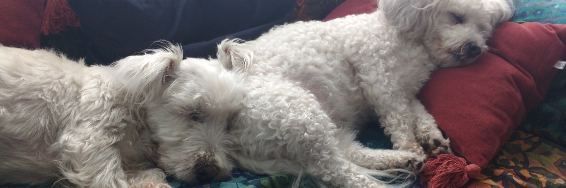 Kato en Milla (deel 1) | Annelies