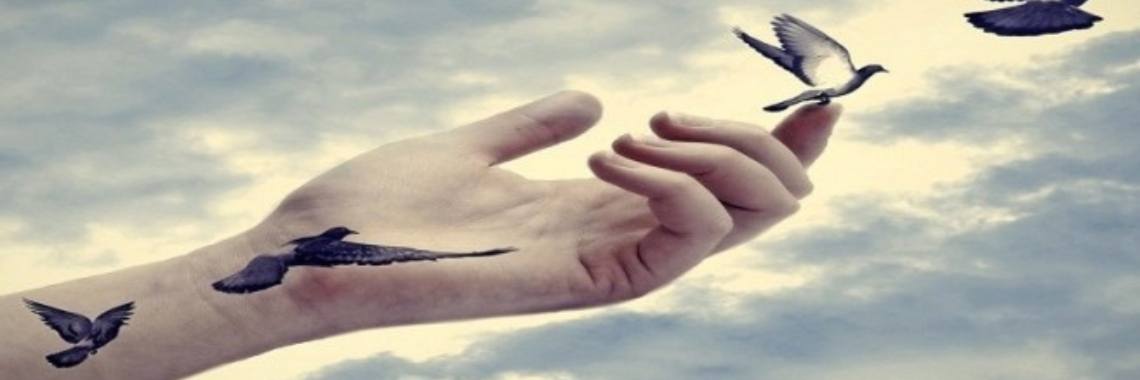 Letting go | Annelies