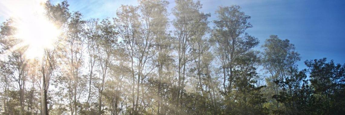 Love what is | Annelies