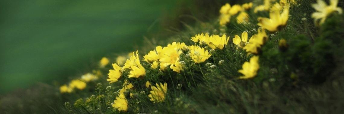 My protection bubble | Annelies