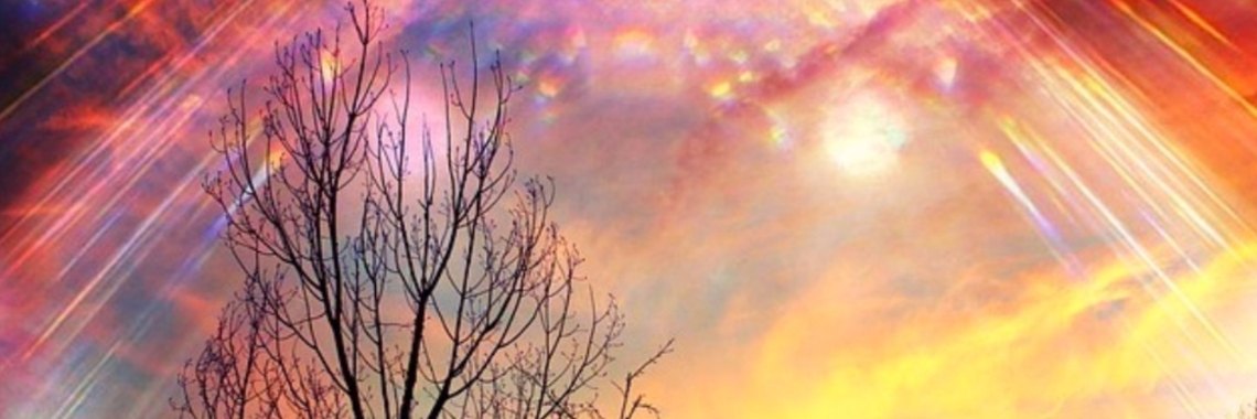 Only Love can kill Fear | Annelies