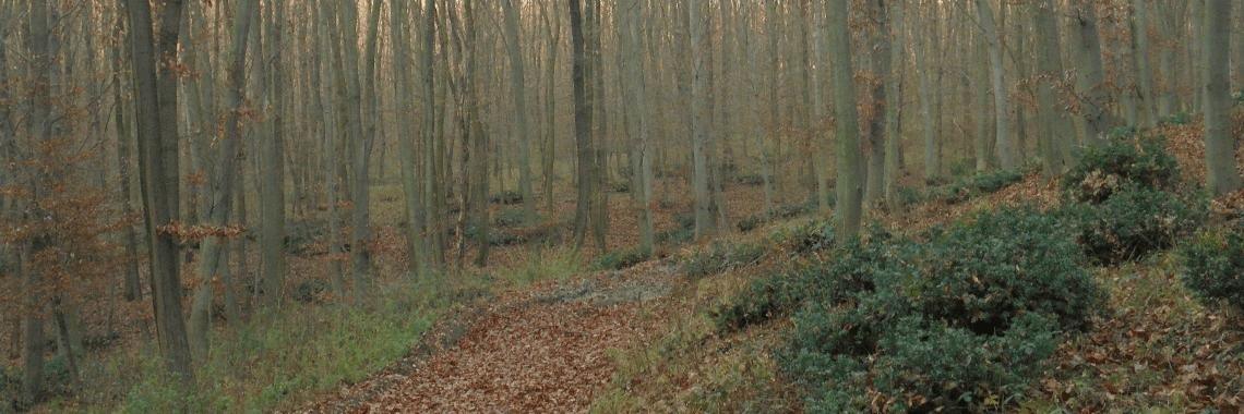 Our magical place | Annelies