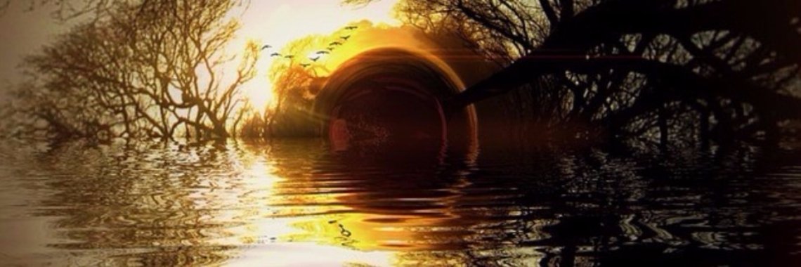 Reflecties | Annelies