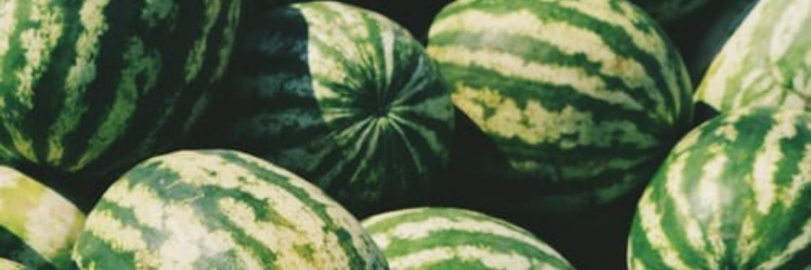 Running on Fruit - Het Slijmloze Dieet | Annelies