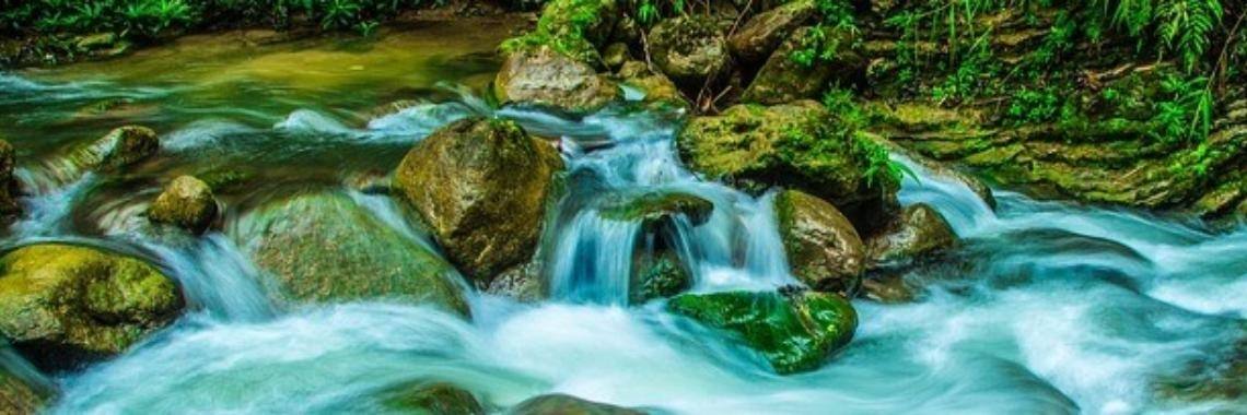 Slow Down | Annelies