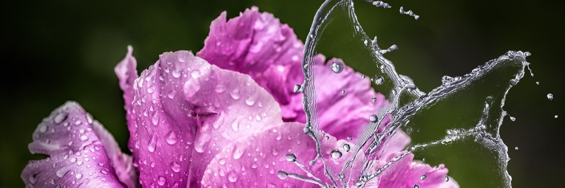 The healing power of rain | Annelies