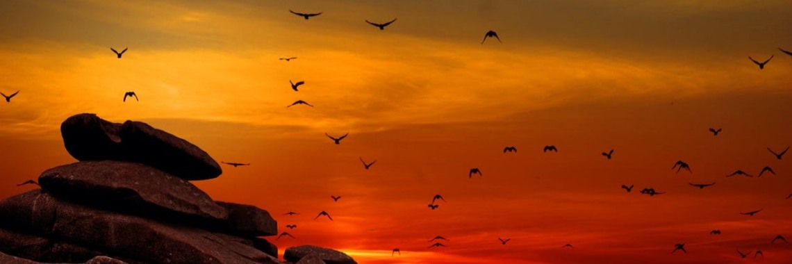 The rhythm of your soul | Annelies