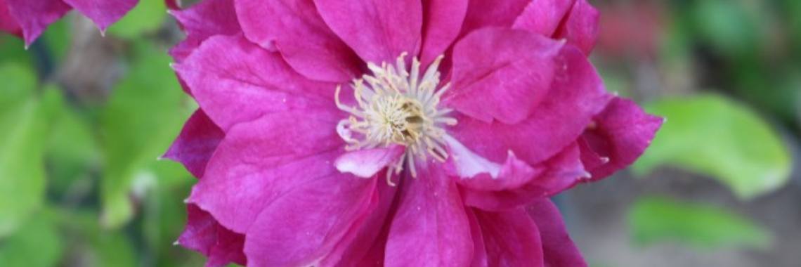 Uncertainty | Annelies