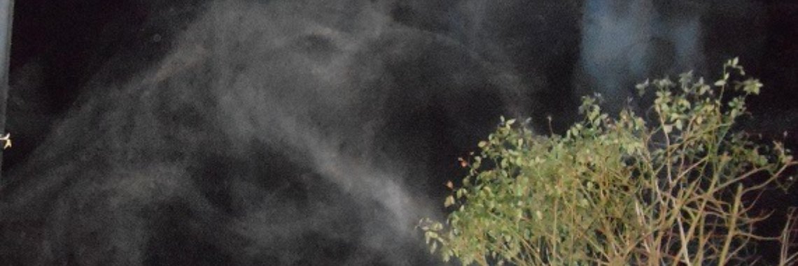 197     Contacten om je heen | Ries van Meerten