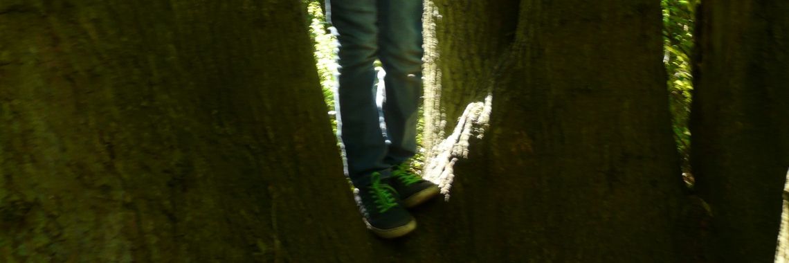 2019-4503    Liefde in eenheid | Ries van Meerten