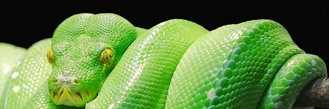 204                 Wat verteld een entiteit ons? | Ries van Meerten