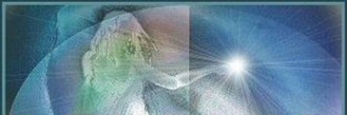 278     Dromen     | Ries van Meerten