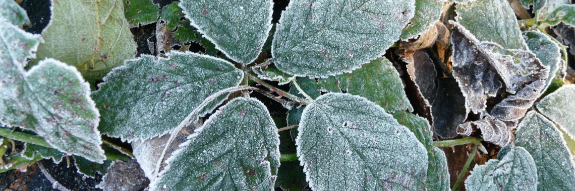 311     Dimensies, de chaos | Ries van Meerten