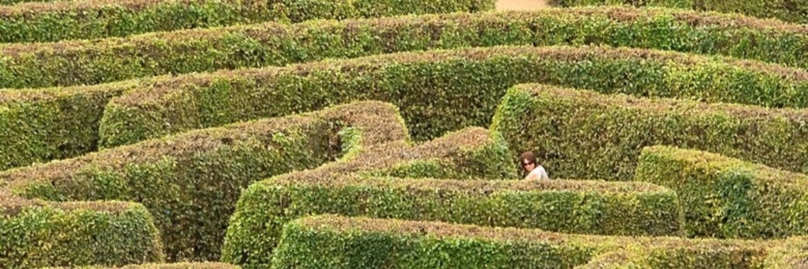 Blog  05-06-2018   Zijn wij de weg kwijt?     | Ries van Meerten