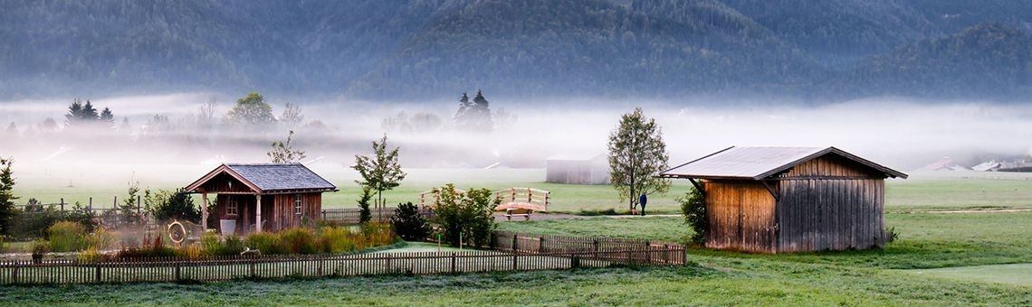 Gewoonte | Ries van Meerten