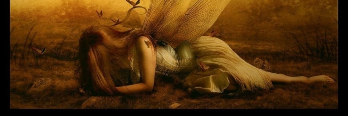 Vlinder    | Ries van Meerten