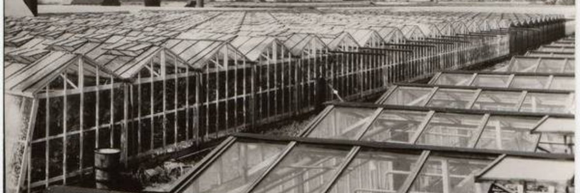 Warenhuis 2 | Ries van Meerten