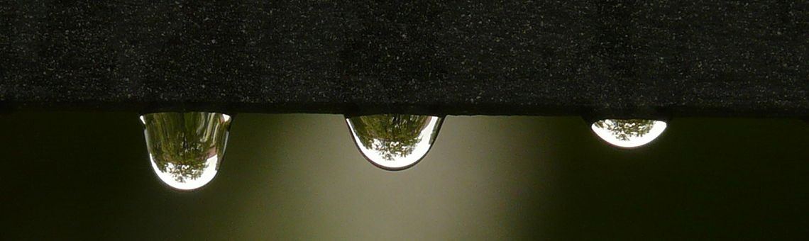 Waterdruppels | Ries van Meerten