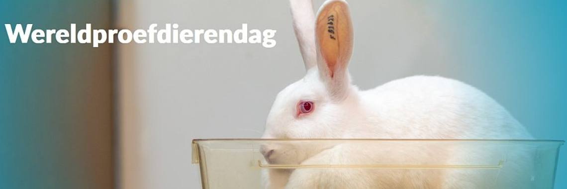 Wereldproefdierendag: kom op voor proefdieren | Hans