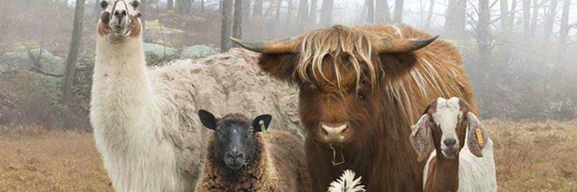 Wij zijn allemaal familie van elkaar! We are all family! | Hans