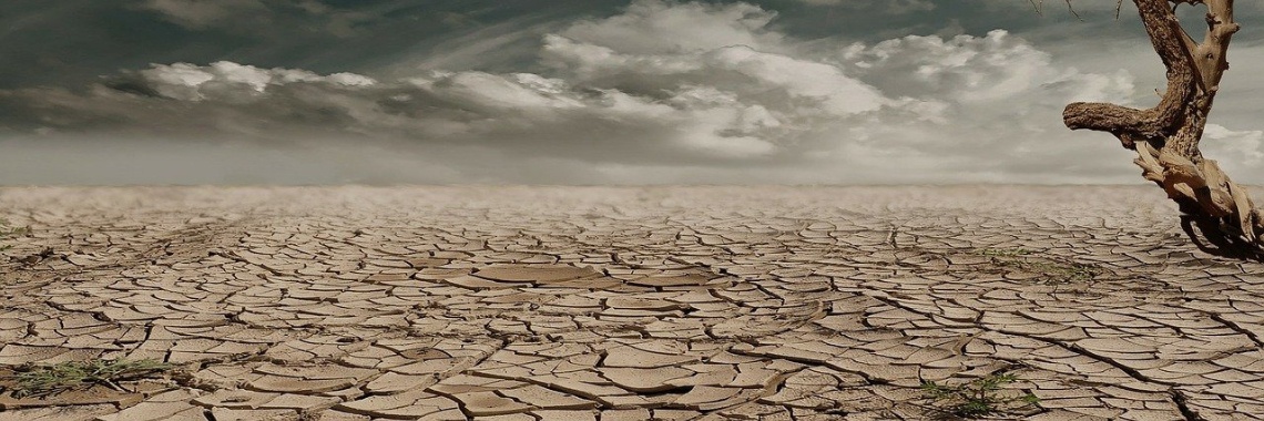 April maand van de filosofie: De natuur was hier | Hans