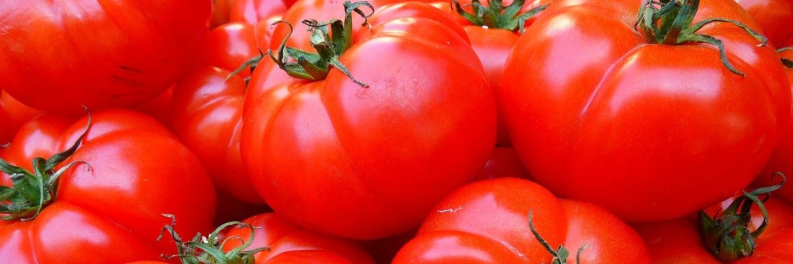 Bescherminsmiddel | Hans