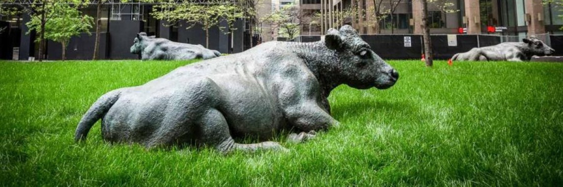 De stille slachting op het boerenland:wie betaalt de prijs van overvloed? | Hans