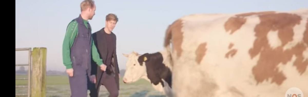 Deze boer in Friesland wil laten zien dat het anders kan | Hans