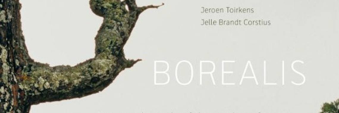 Dit is de grootste opslag van koolstof op het vaste land | Hans