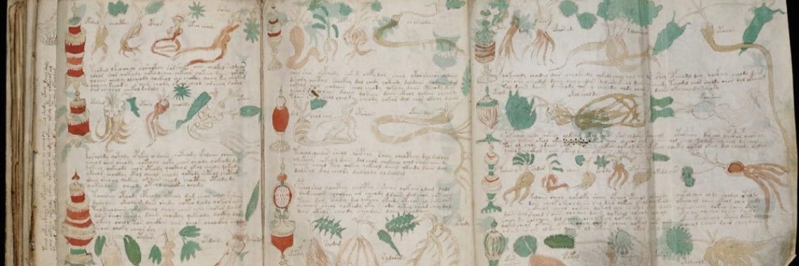 Eureka: Mysterieus Voynich manuscript eindelijk ontcijferd | Hans