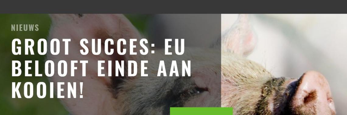Het is gelukt! EU belooft einde aan kooien | Hans