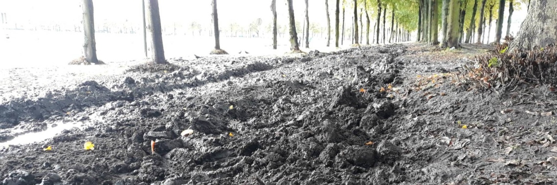 Het Malieveld in Den Haag is flink beschadigd door boerenprotest | Hans
