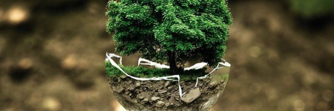 Leren leven met minder | Hans