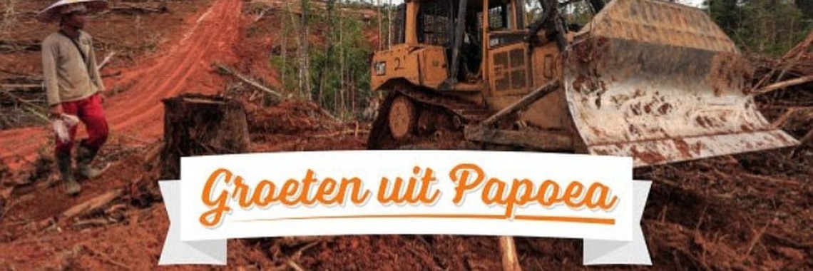 Spaar het regenwoud | Hans