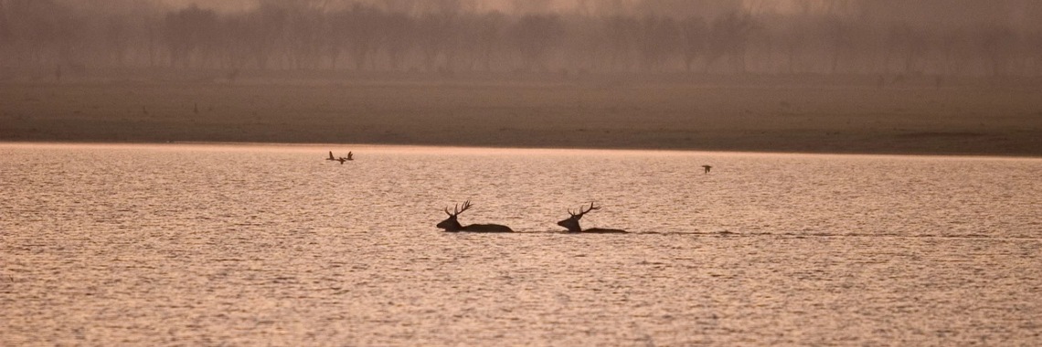 Spel zonder grenzen | Hans