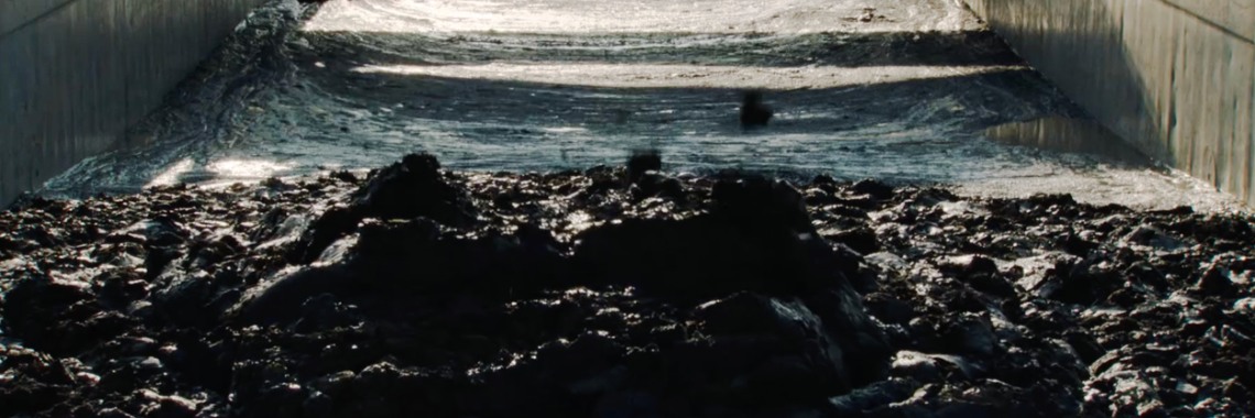 Wat verdwijnt er in onze plassen? | Hans