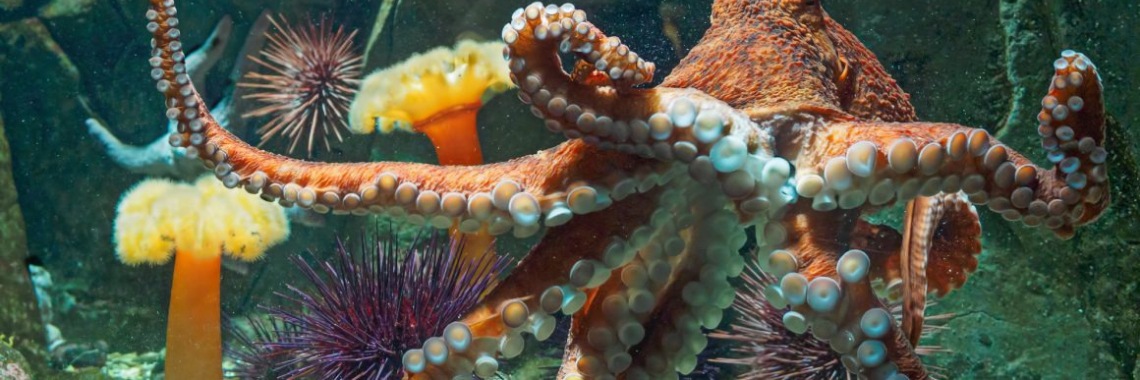 Wat zijn we aan het doen? | Hans