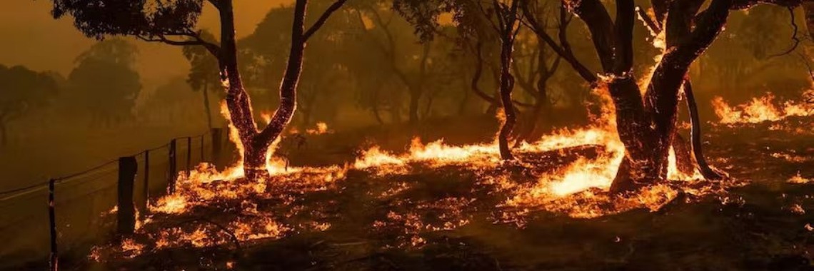 ‘We moeten ons nú aanpassen aan een veel warmere wereld’ | Hans