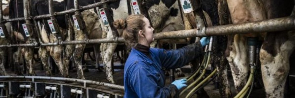 Consumentenmacht | Hans