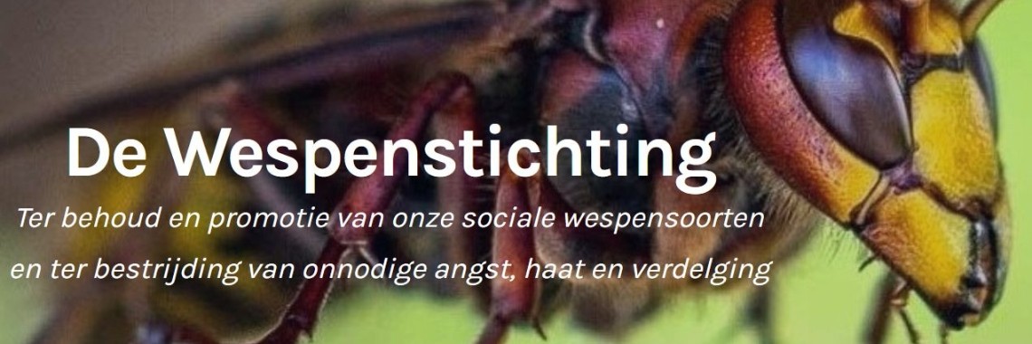 Wespentelling | Hans
