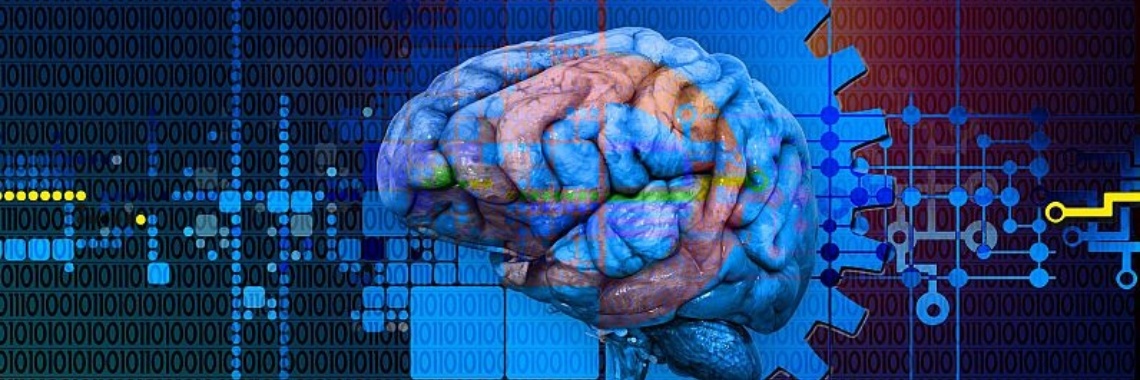 Waarom hebben we een tweede digitale brein nodig? | Hans