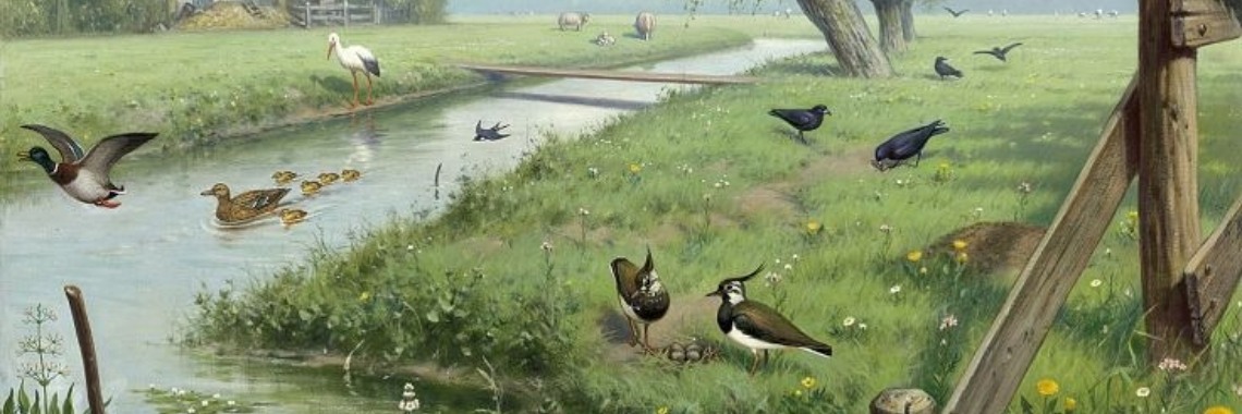 Natuuramnesie, vergeten hoe de natuur er vroeger uitzag | Hans